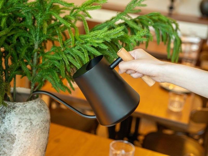 Green Moon Water Can Indoor Plant Black 35oz with Long Spout Mini Water Can Indoor Metal Watering Can Pot for Indoor House Plant Bonsai Outdoor Garden Flowers Modern Decorative - Image 5